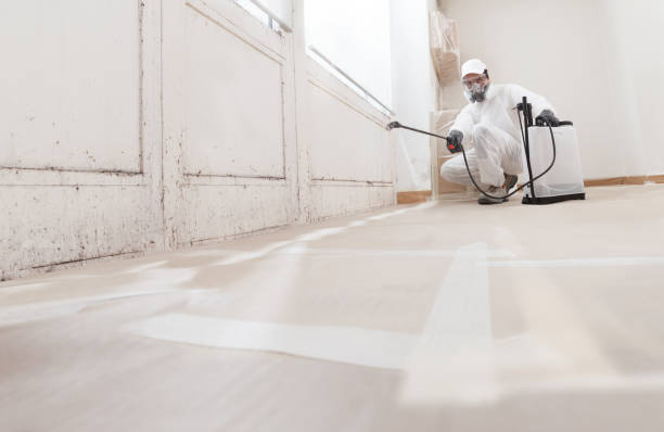 24/7 Emergency Mold Remediation experts in Tyrone, GA