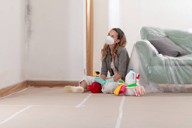 Reliable Mold Remediation contractor in Tyrone, GA by WQB Mold Removal
